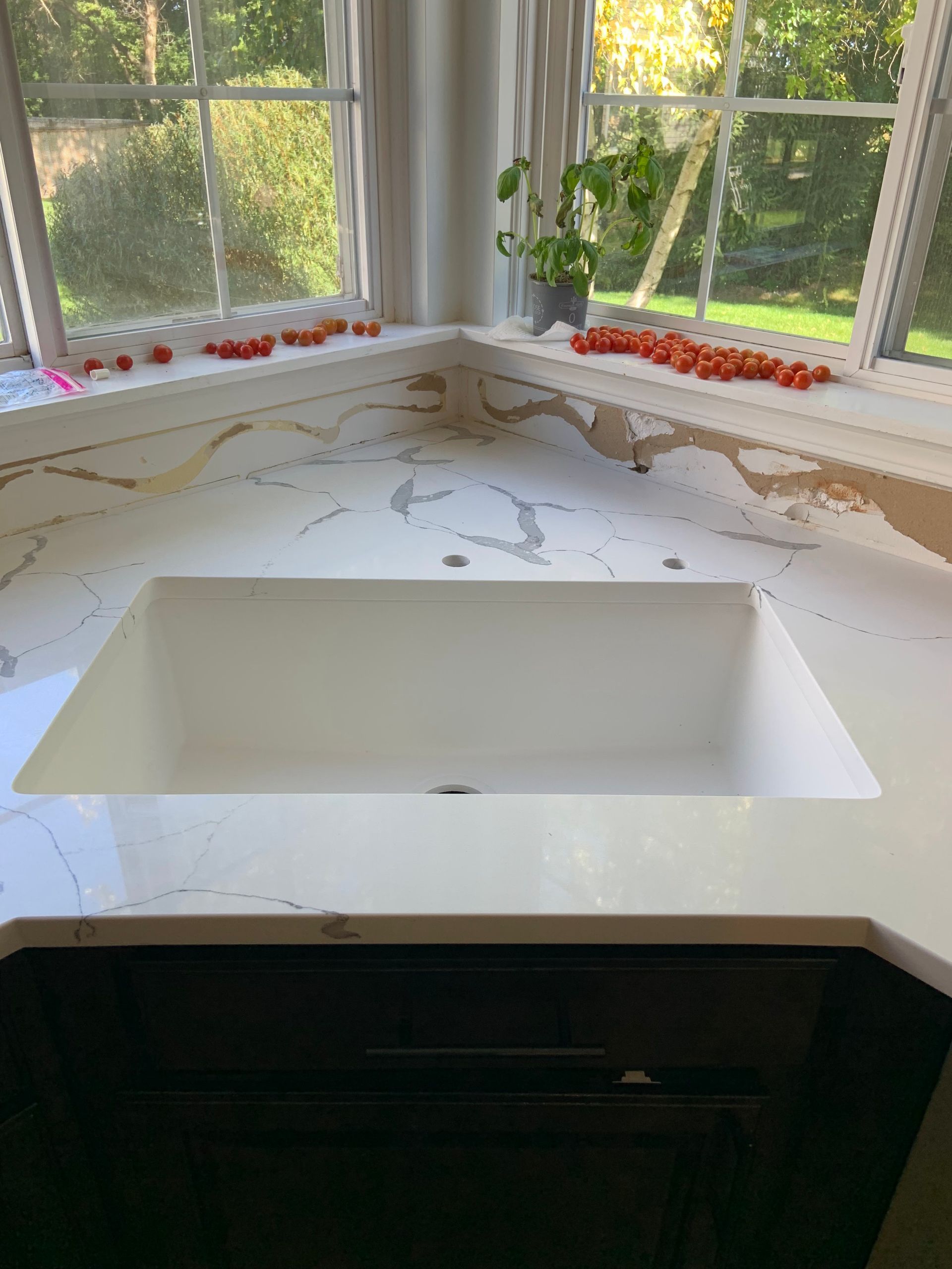 Modern kitchen with white marble countertop, large white sink, and windows with flowers on the sill
