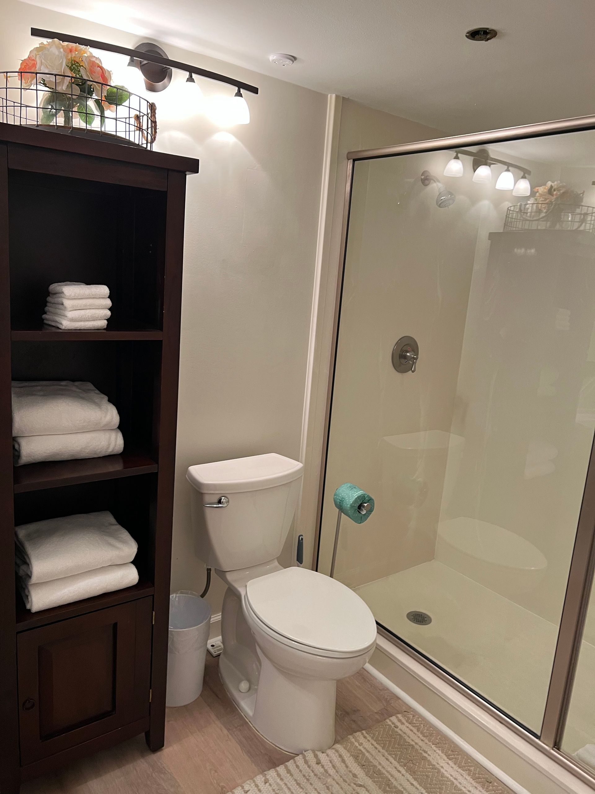 Bathroom with toilet, glass shower, and dark wood shelving with folded towels.