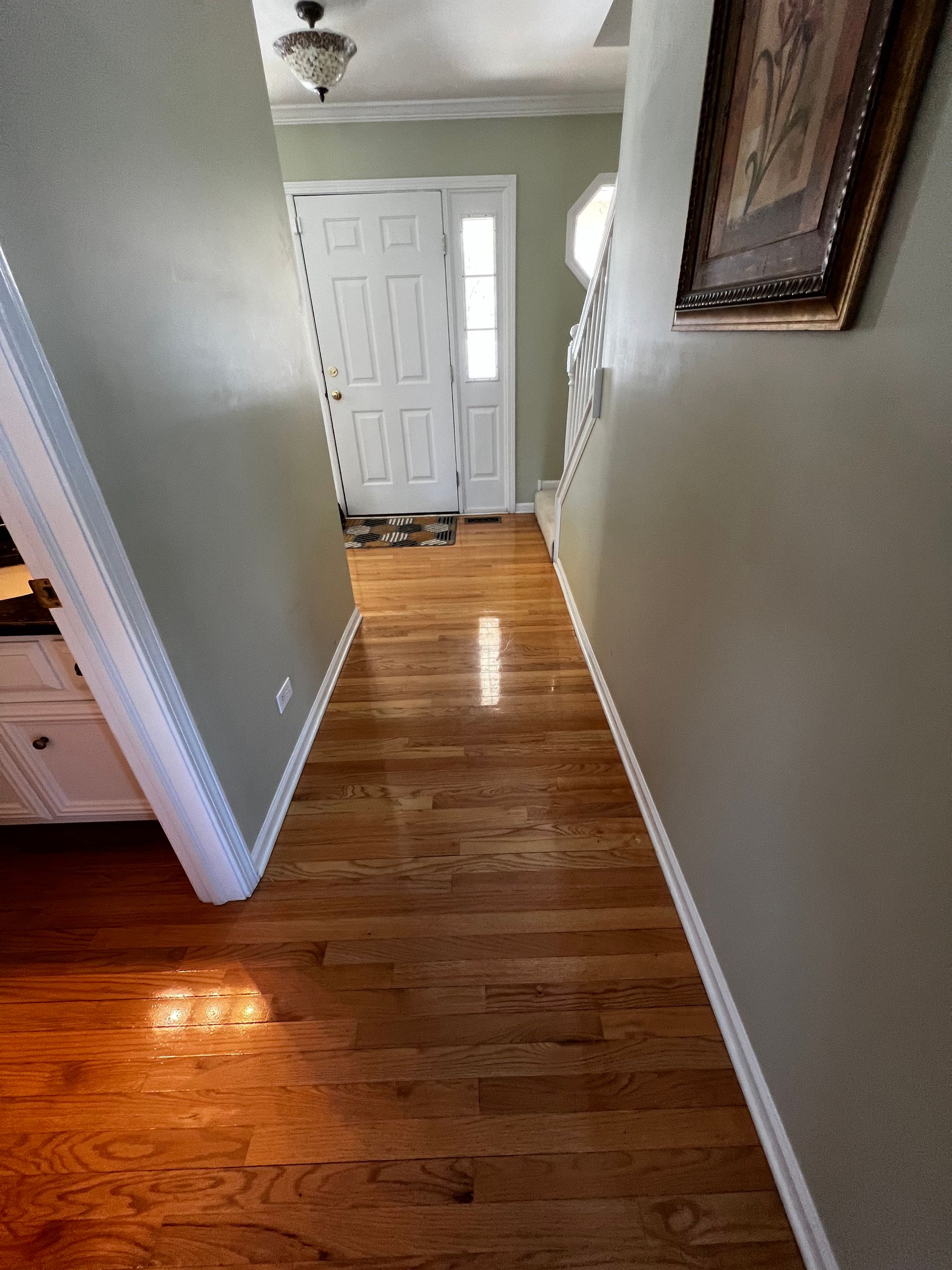 Narrow hardwood hallway with gray walls leading to a white front door, sunlight reflecting on the floor.