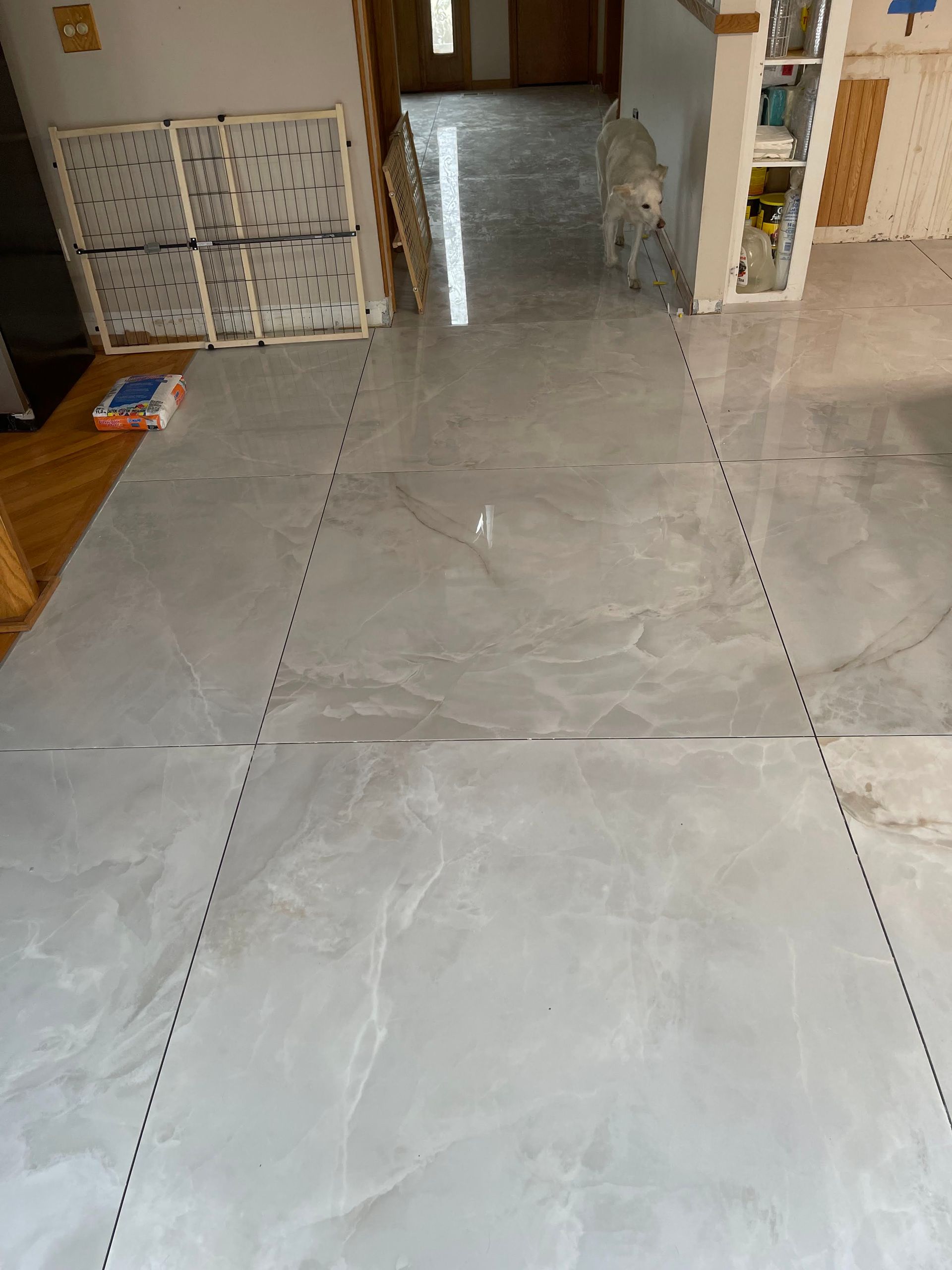 Indoor tiled floor and hallway with a small gate on the left and a doorway in the background.
