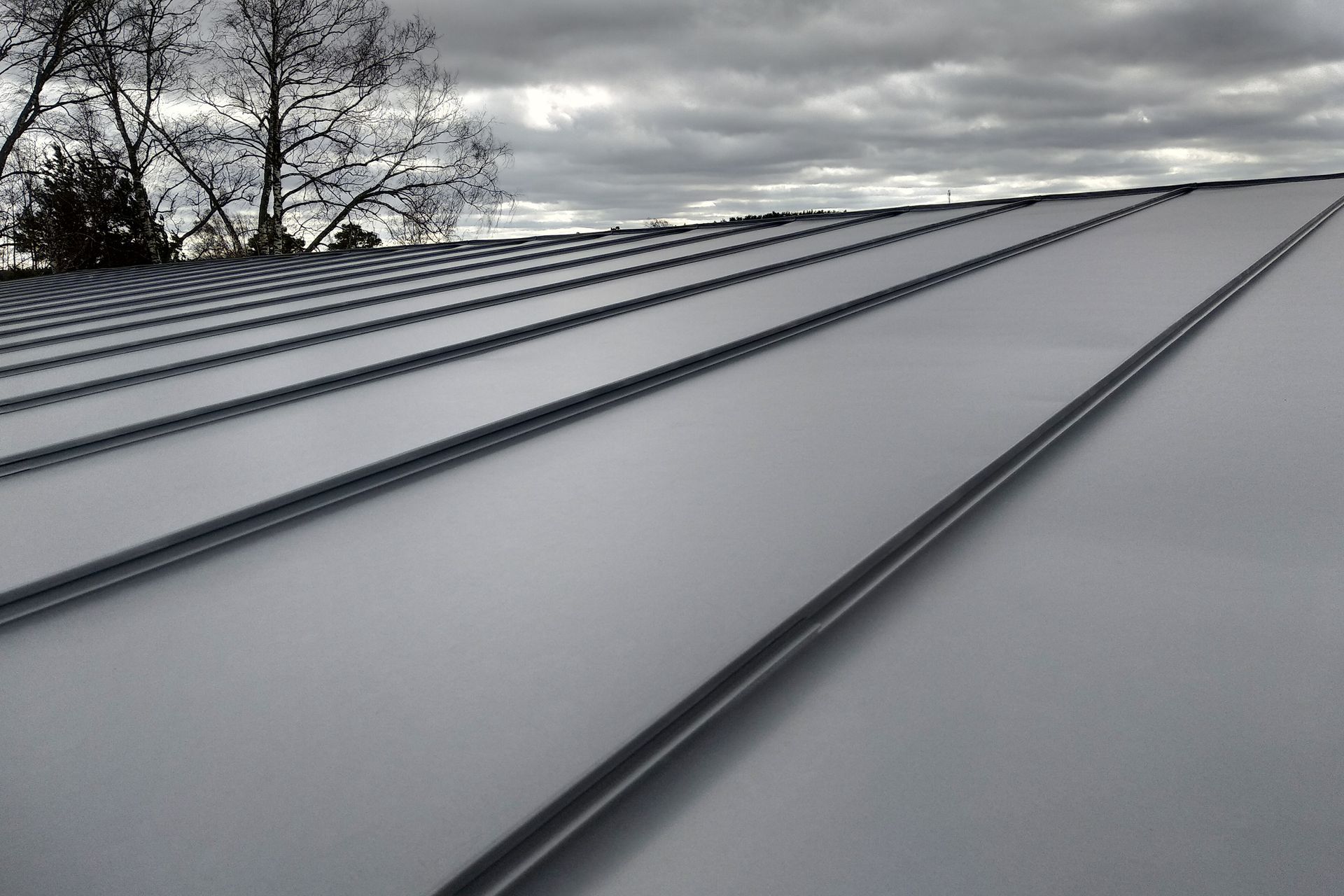 A gray metal standing seam roof against a cloudy sky with bare tree branches in the upper left.