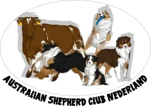 ascn logo