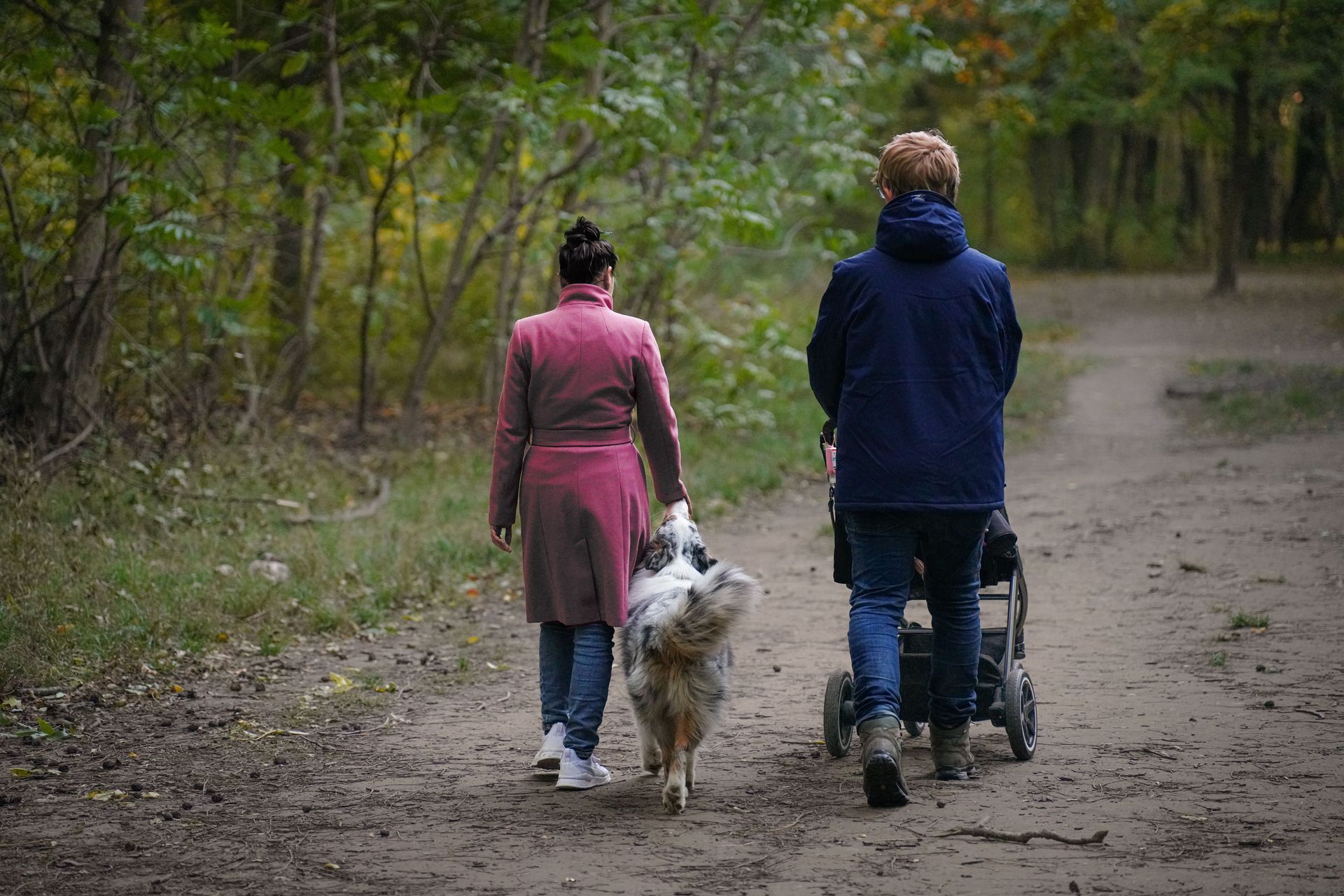 Twee mensen die met twee honden over een bospad lopen, van achteren gezien.