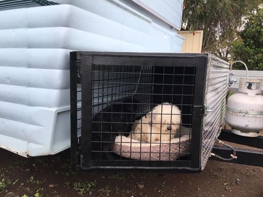 Caravan Dog Cage Upgrade — Andy's Caravan Repairs in Harristown, QLD
