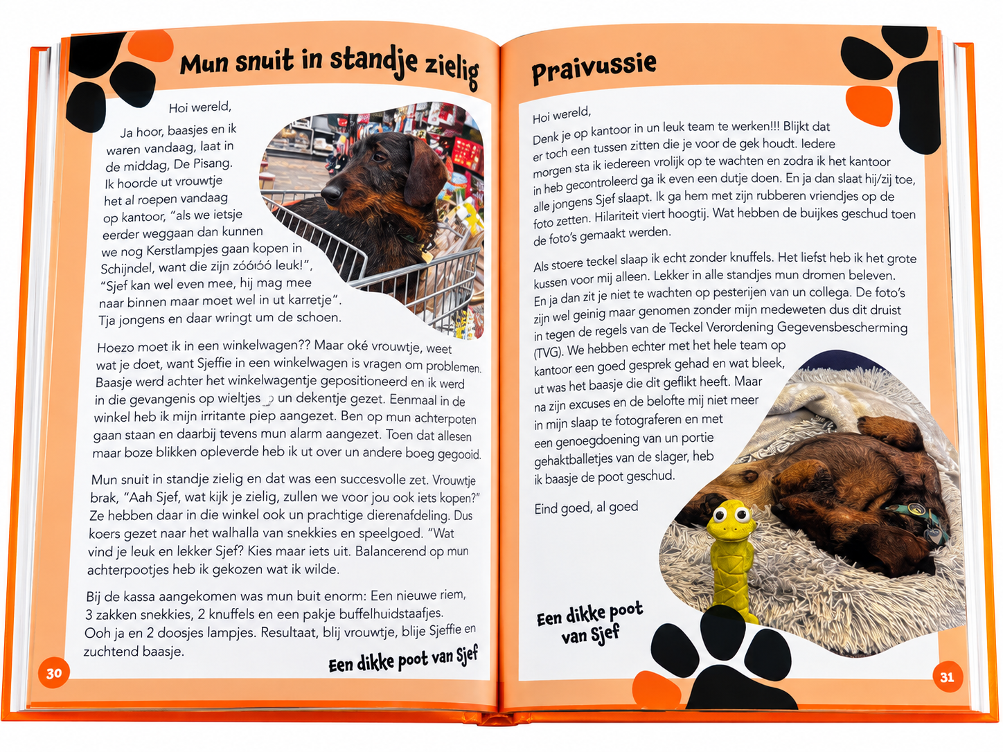 Sjefs dagelukse avonturen deel 1