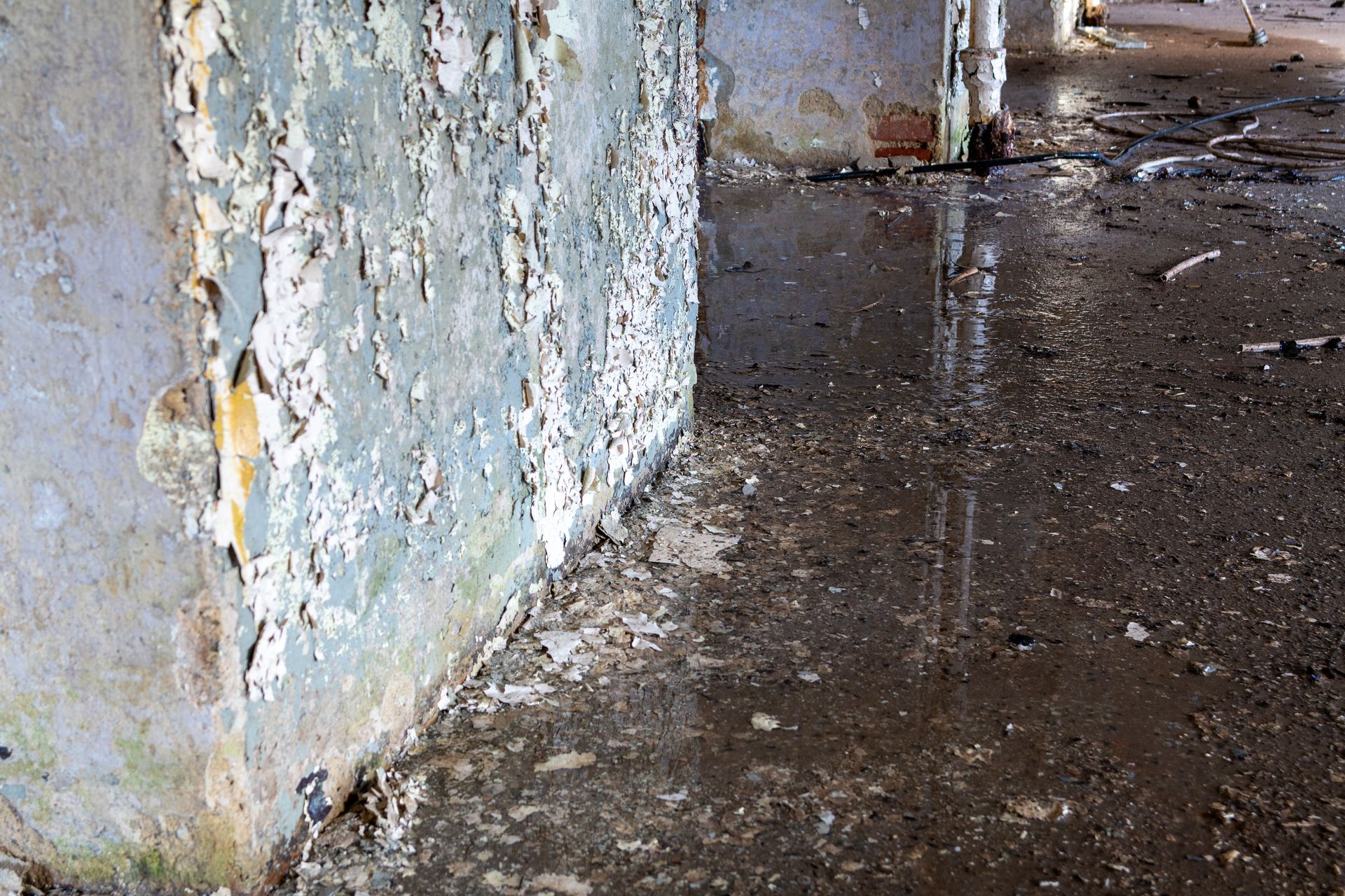 Basement with water damage.