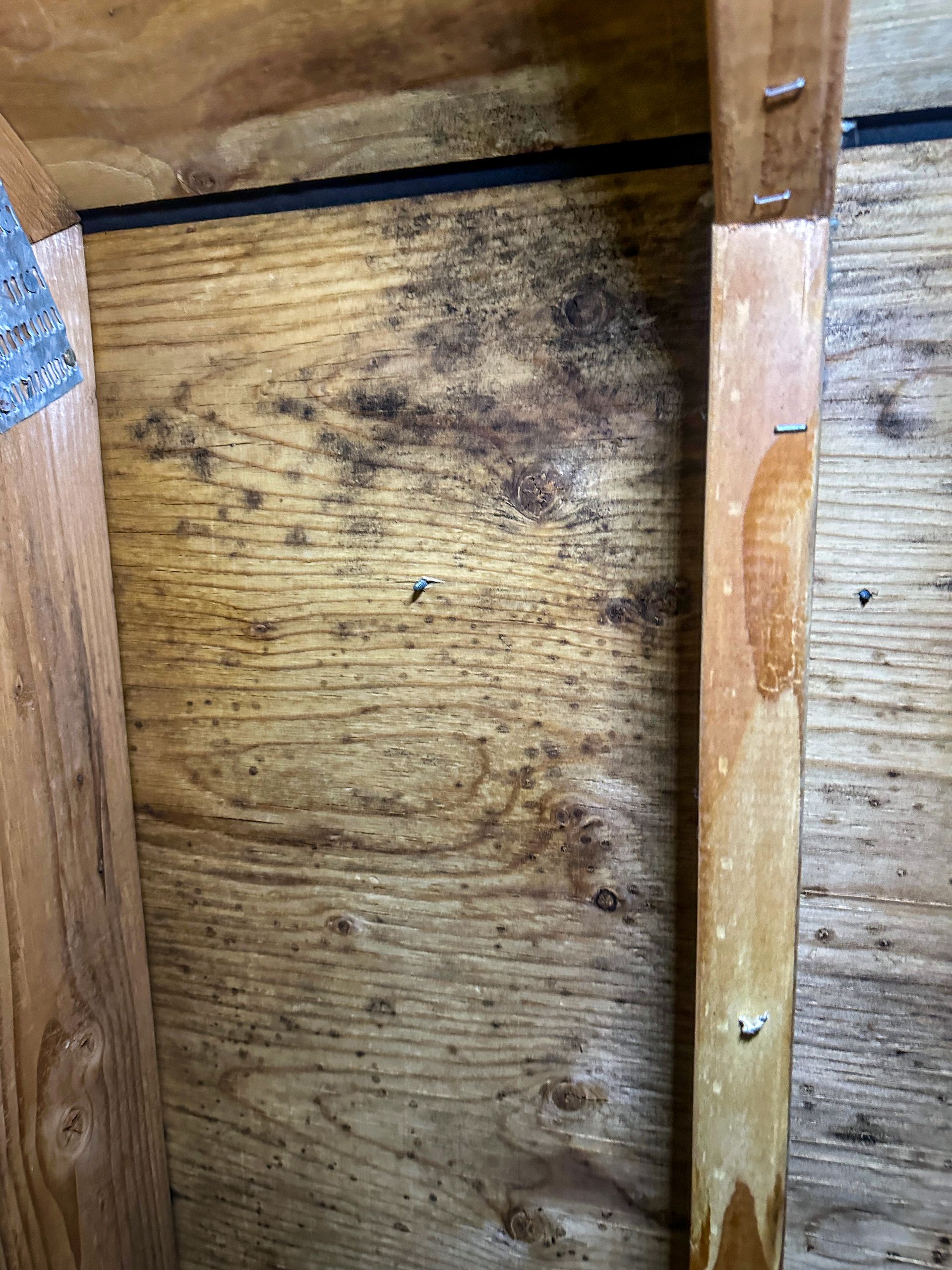 Wood paneling showing signs of early moisture damage and mold contamination in the home seen with these dark stains and exposed vertical wood studs.