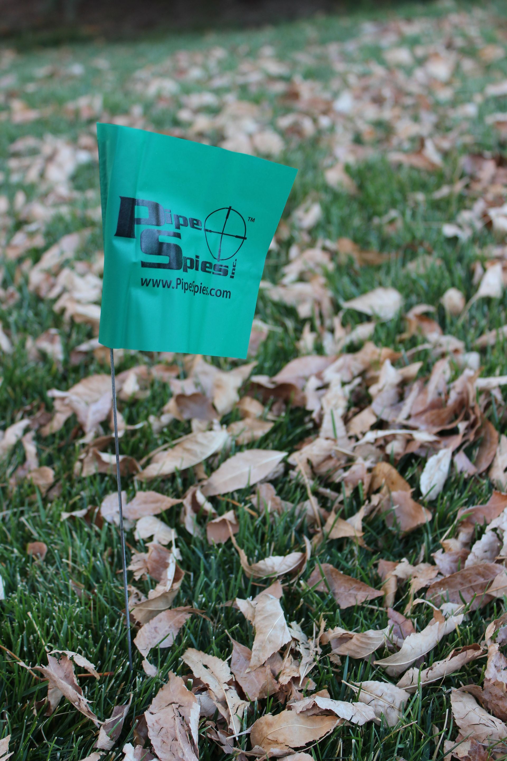 Green flag with black logo in grass covered with fallen leaves.