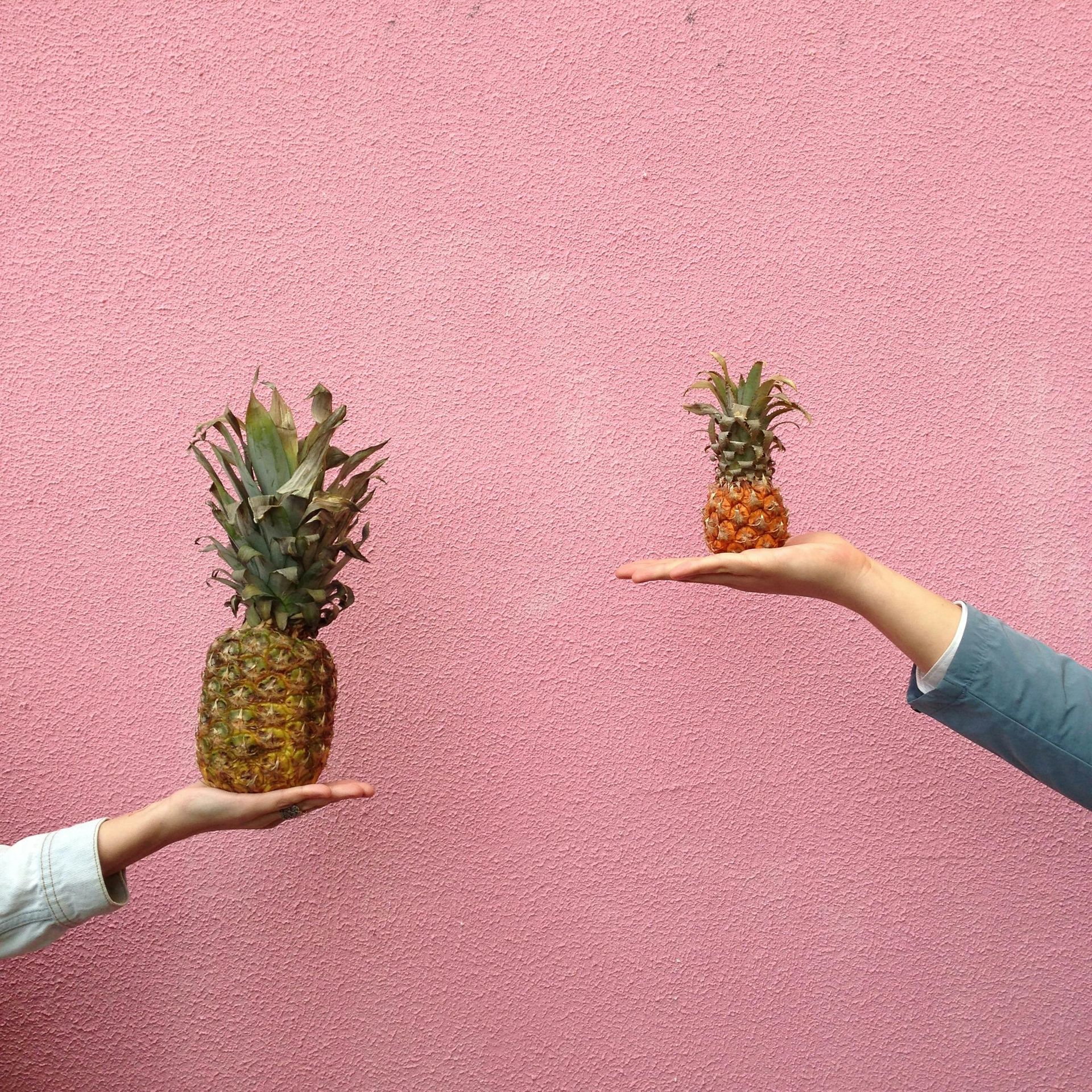 Two hands holding pineapples of different sizes against a pink textured wall.