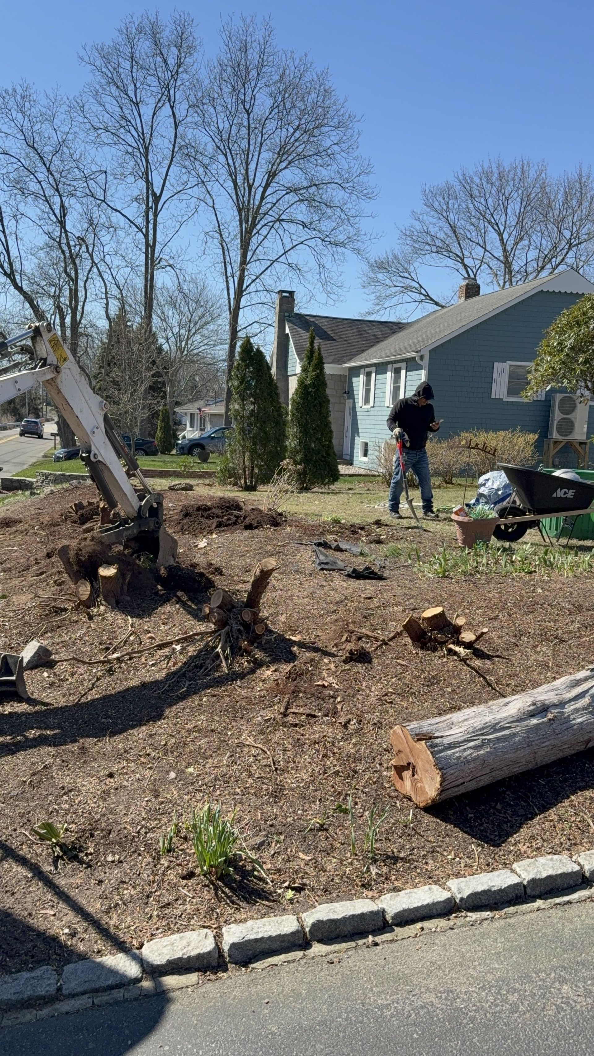 Front yard with tree debris and mulch, a worker near a house, and a fallen log by the curb.