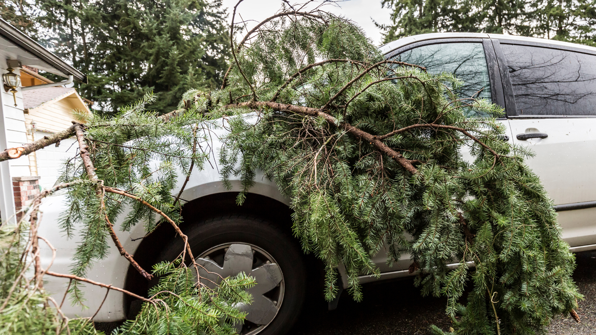 Fallen tree branches drape over a silver SUV parked beside a white house.