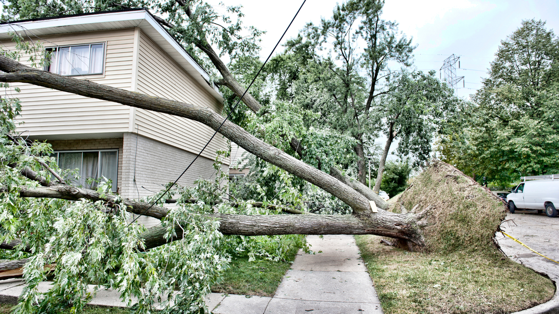 Tree fallen across sidewalk beside house, blocking the path after a storm.