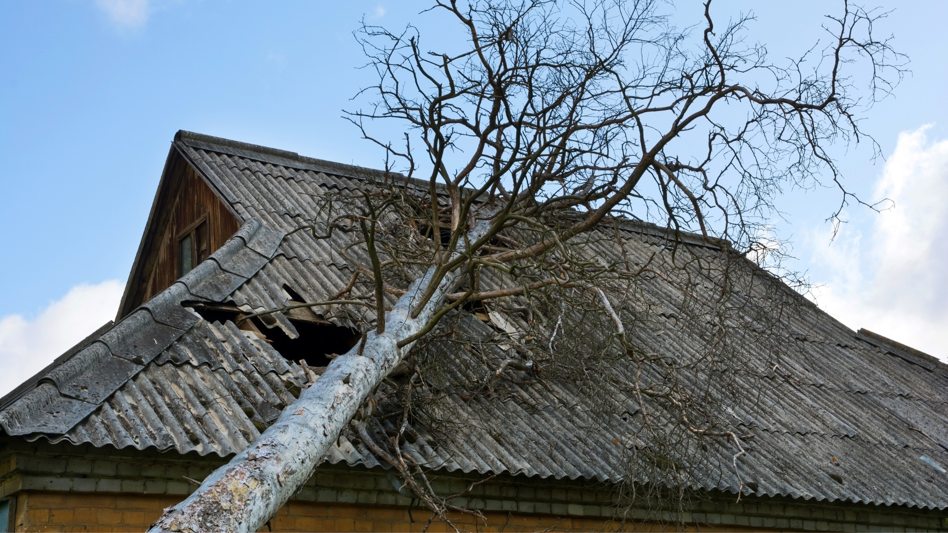 Snow-dusted wooden house with a bare tree leaning across the roof under a cloudy sky