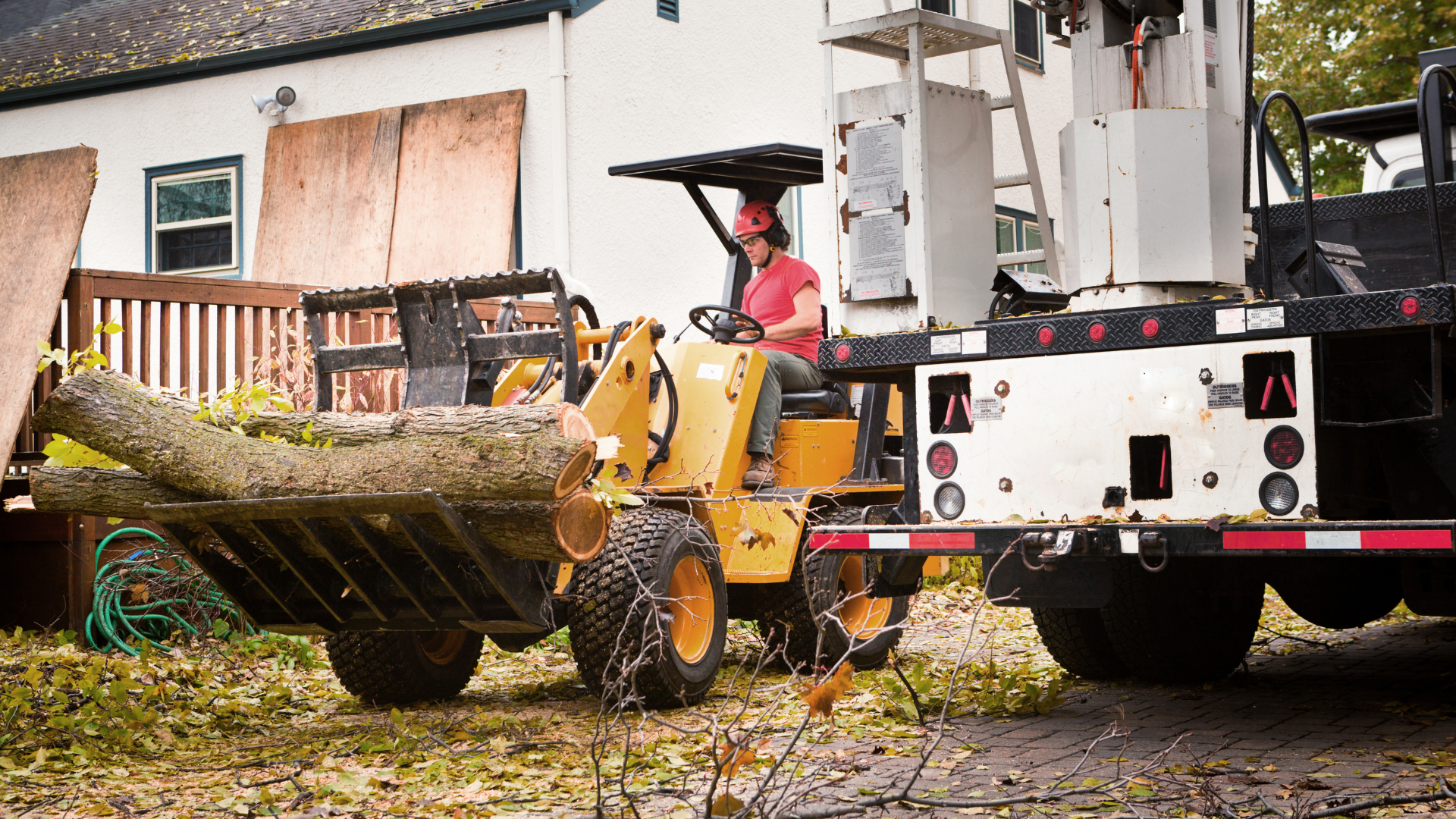 Worker in high-vis gear and blue helmet cuts branches from a tree beside a building.