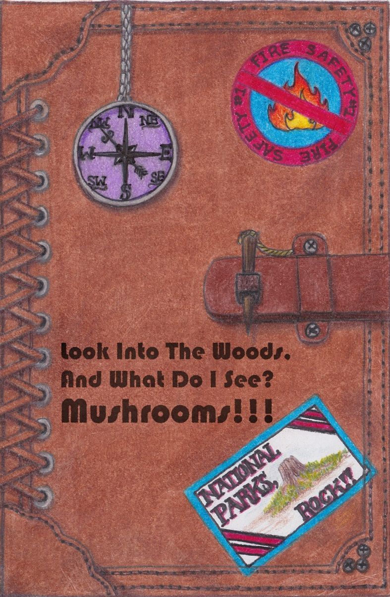 A book titled look into the woods and what do i see mushrooms