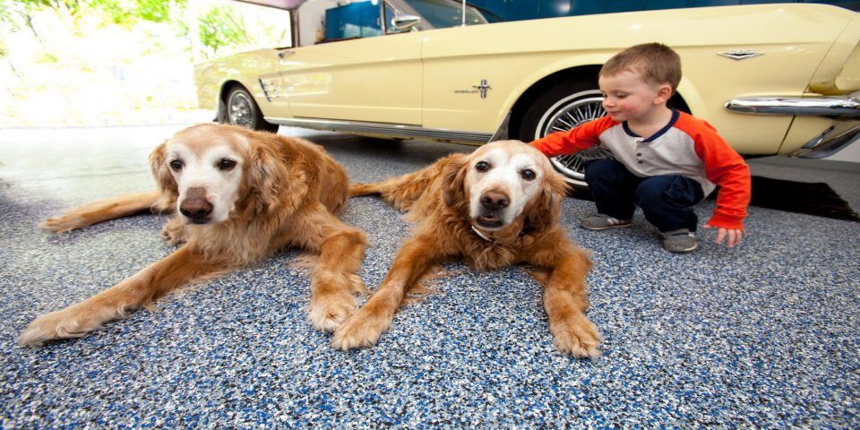 Garage with two dogs - Loogootee IN - Five Star Concrete Coatings