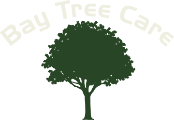 Bay Tree Care Bay Tree Care