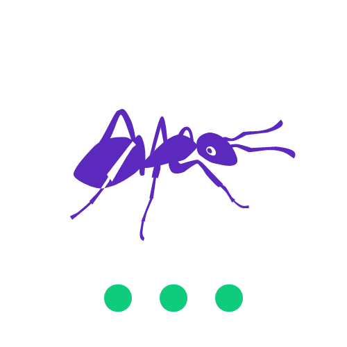 Spider Control in Boise Averse Pest Control