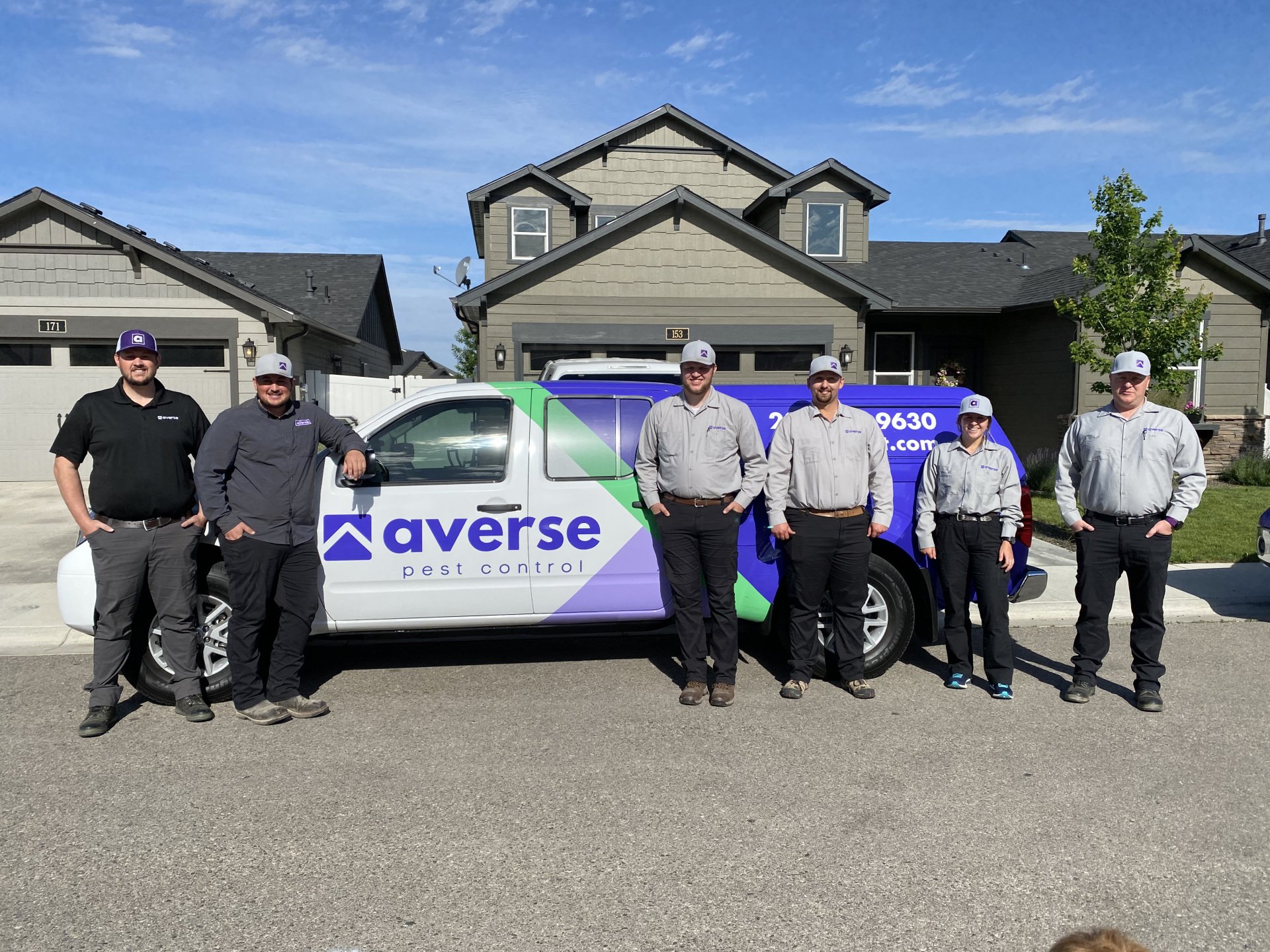 Carpenter Bee Control in Boise