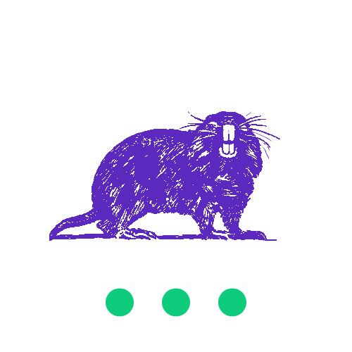 Spider Control in Boise Averse Pest Control