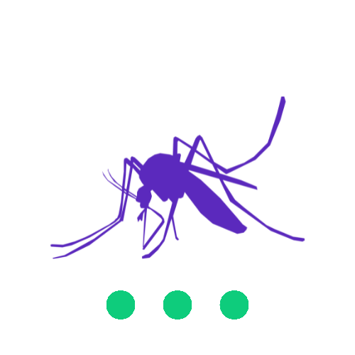 Spider Control in Boise Averse Pest Control