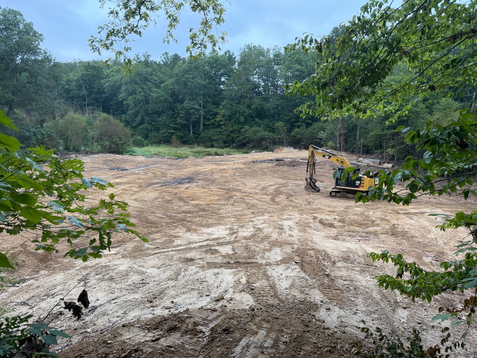 Freshly cleared dirt lot bordered by tall green trees under a bright blue sky