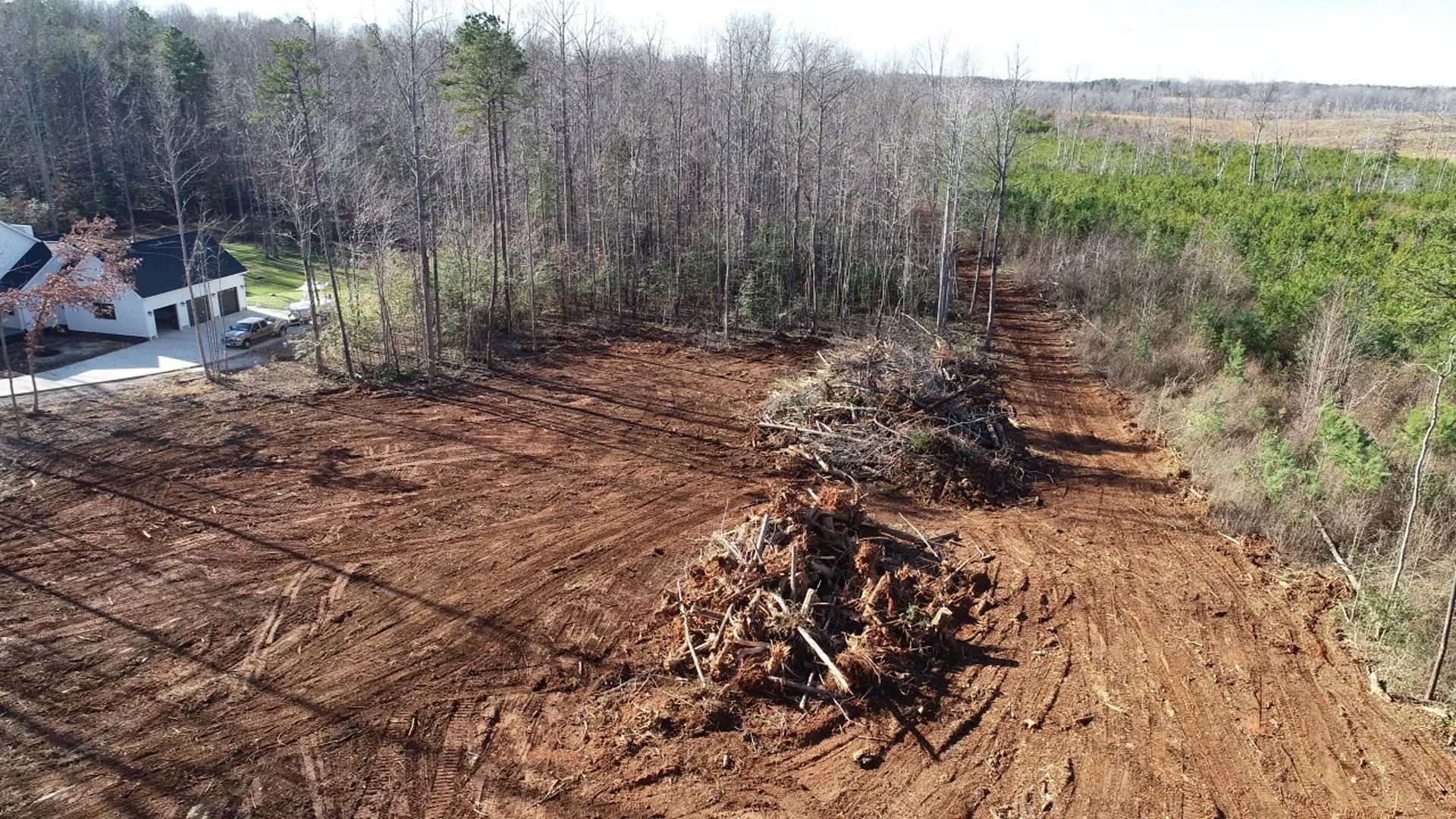 Cleared forest site with piles of logs and brush beside standing trees and a house at left