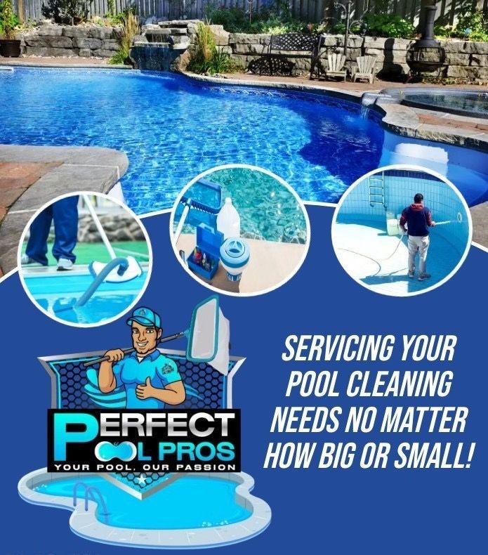 A blue net is being used to clean a swimming pool.
