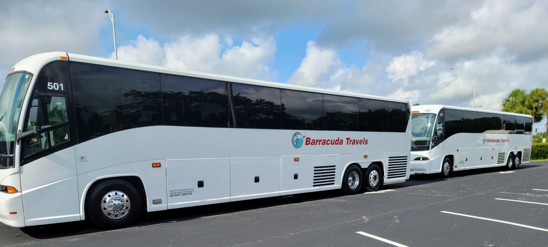 Barracuda Travels, Charter Bus Tampa, Minibus Rentals, Wedding Charter Bus, Team Sports Transportation, Group Travel Services, Tampa Charter Bus Company, Event Transportation, Luxury Charter Buses
Minibus Charter Services, Wedding, Party Transportation, Sports Team Travel, Group Event Shuttle, Corporate Charter Bus, Tampa Bay Area Bus Rentals, Shuttle Services for Events, Special Occasion Transportation, Group Transportation Solutions, Affordable Charter Bus Rentals, Barracuda Travels Fleet