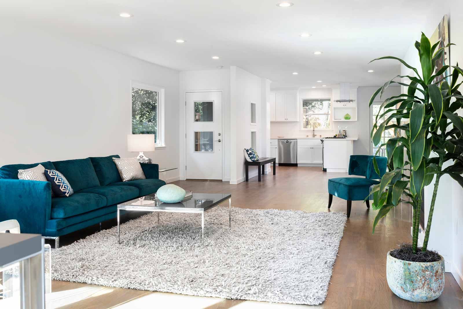 Bright modern living room with teal sofa, white rug, blue chair, and tall potted plant in a minimalist space