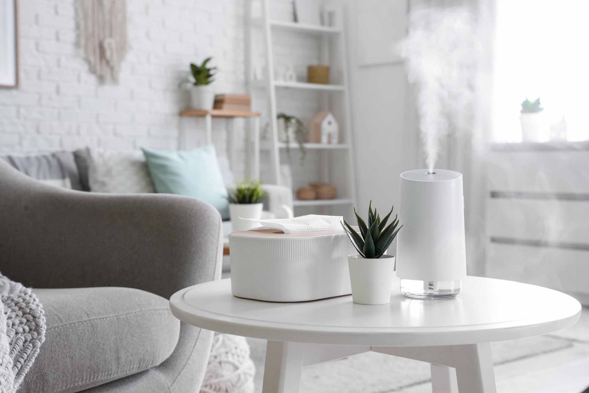 Minimal white living room with sofa, coffee table, plants, and a diffuser near a bright window