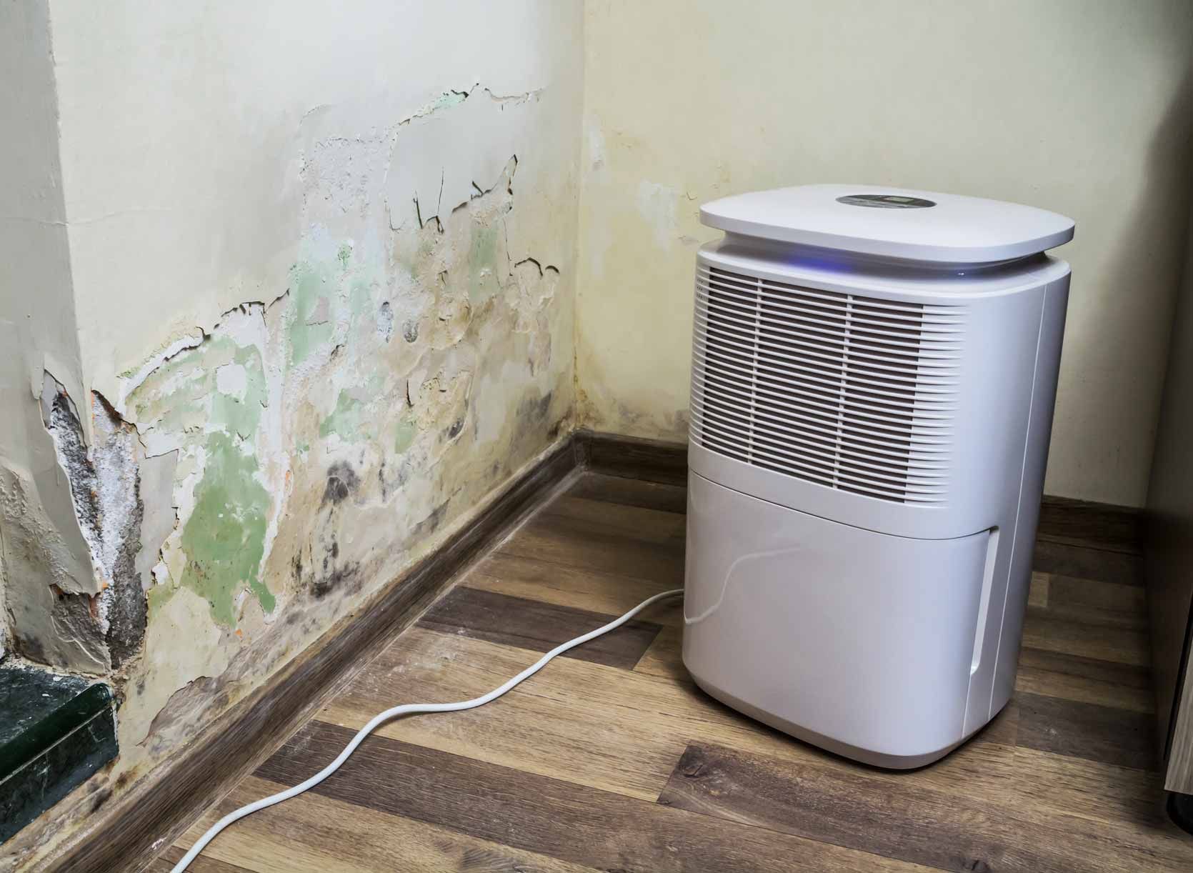 White dehumidifier beside a mold-damaged wall in a corner room, with a power cord on the floor