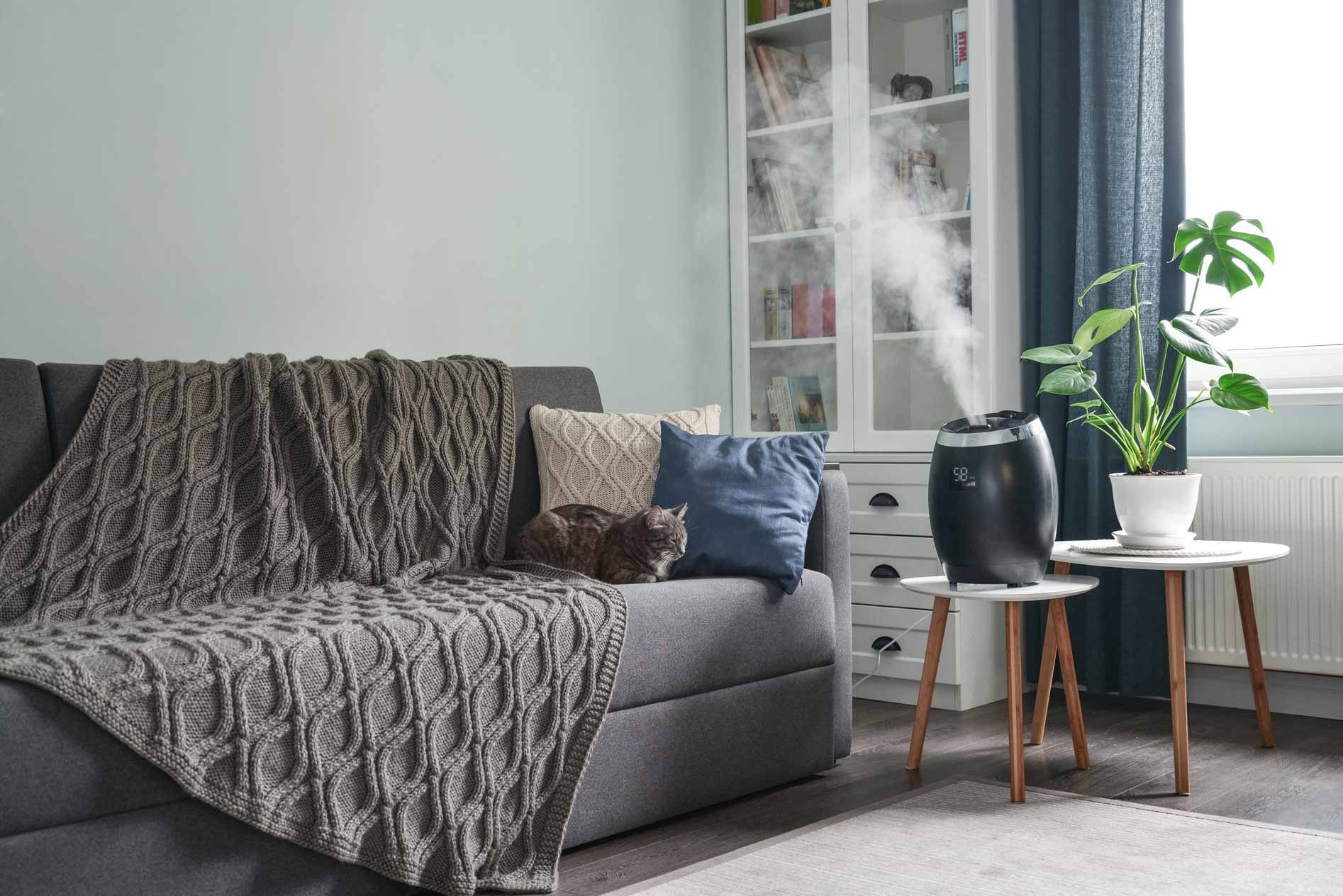Cozy living room with gray sofa, patterned throw, side table, plant, and large window with curtains