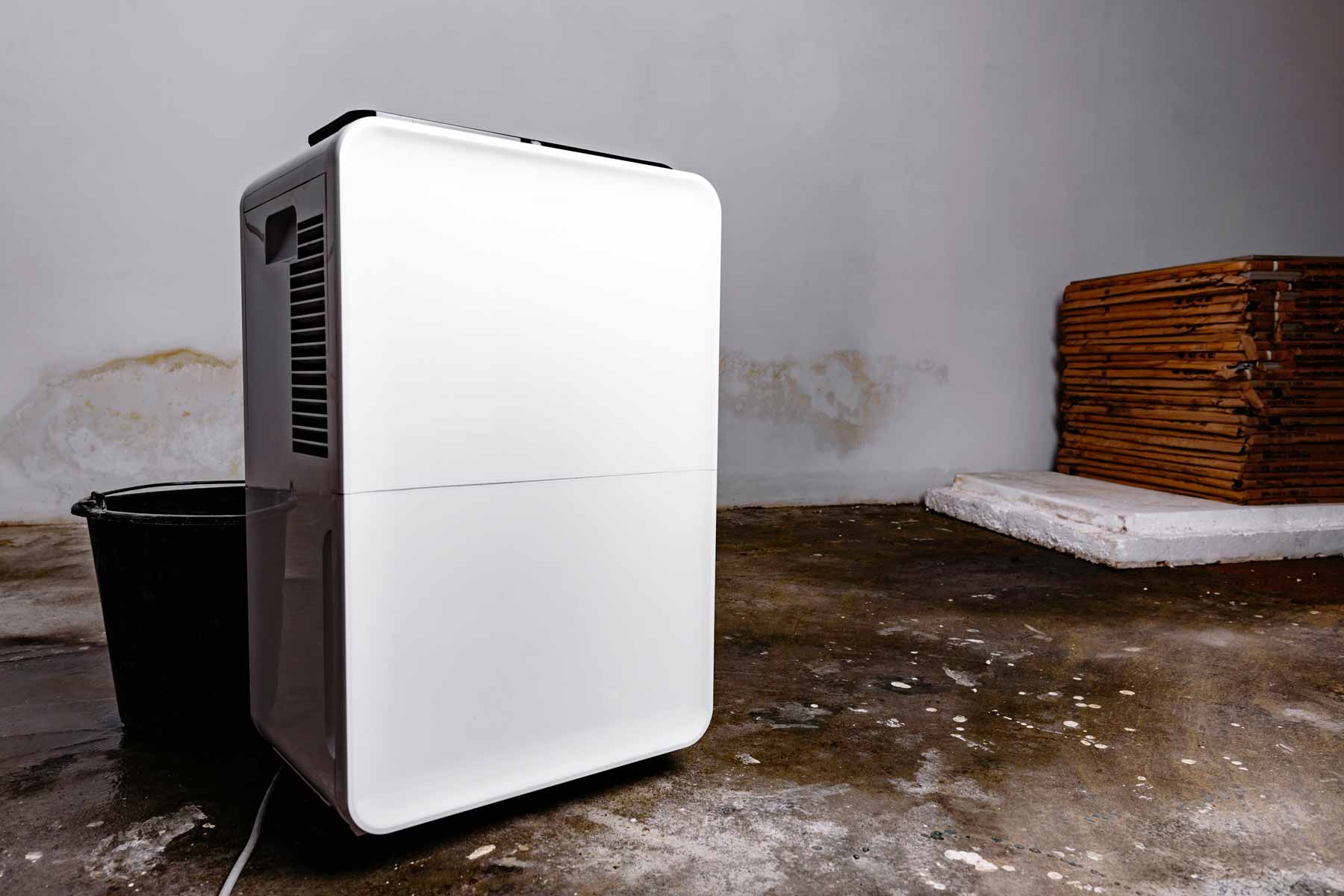 White dehumidifier or air purifier on a damp concrete floor beside a black bucket and wicker basket.