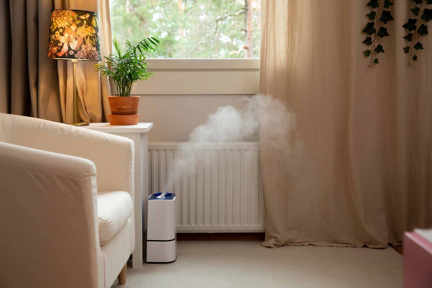 Cozy living room with a white armchair, plant, lamp, curtains, and a humidifier steaming by the radiator