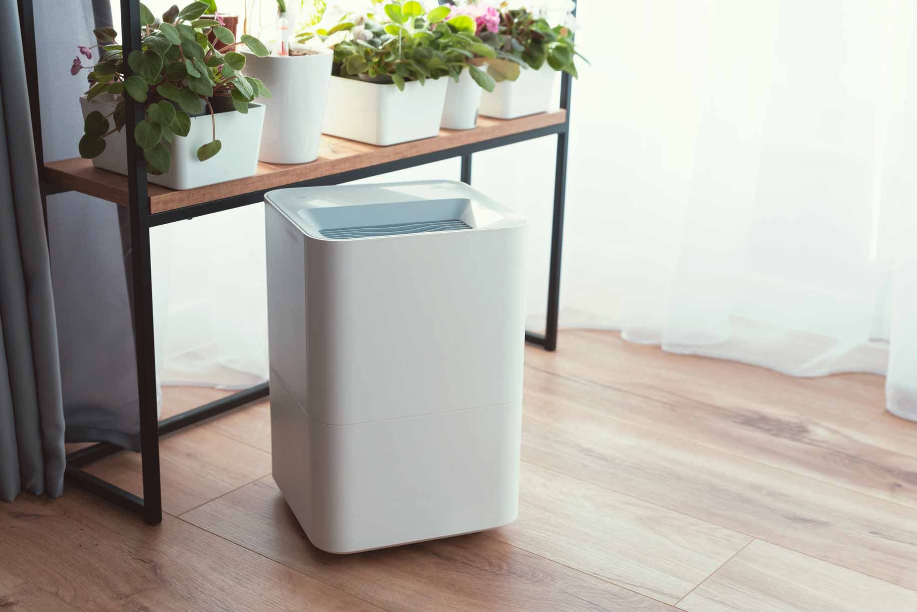 White air purifier by a window beside a wooden shelf with potted plants