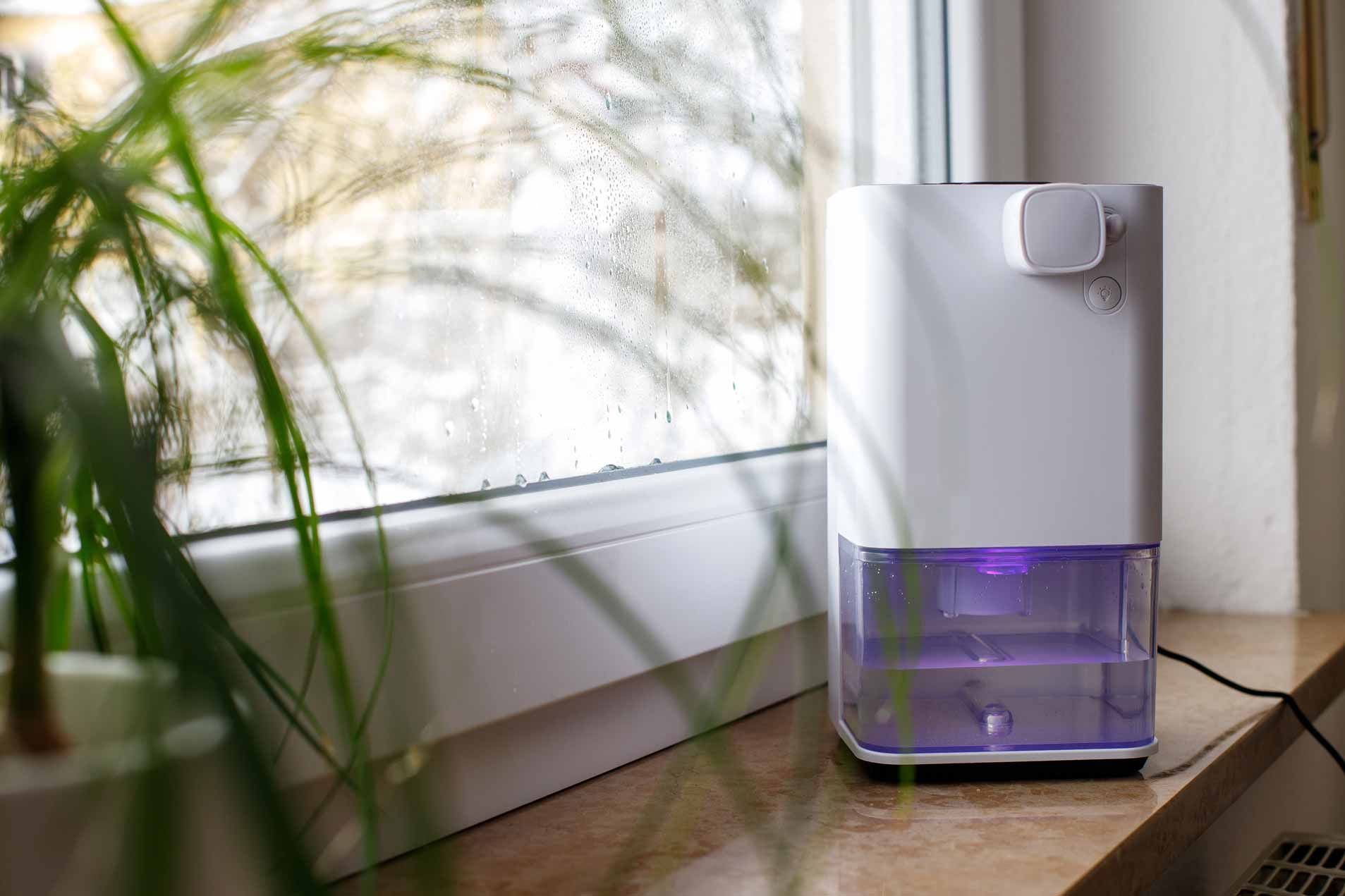 Small white humidifier with purple-lit water tank on a windowsill beside a plant.