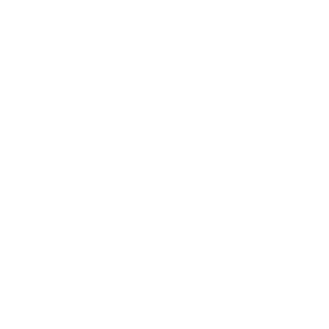 Icon Innenausbau