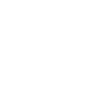 Icon Küchen