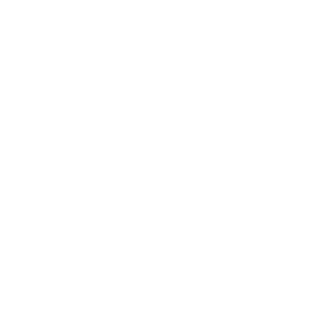 Icon Möbel
