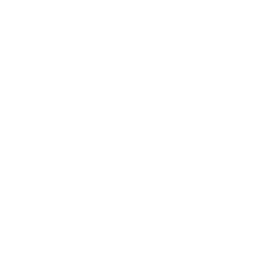 Icon Türen