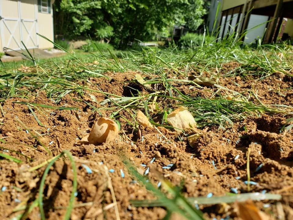 A pile of dirt and grass in a yard with a house in the background.