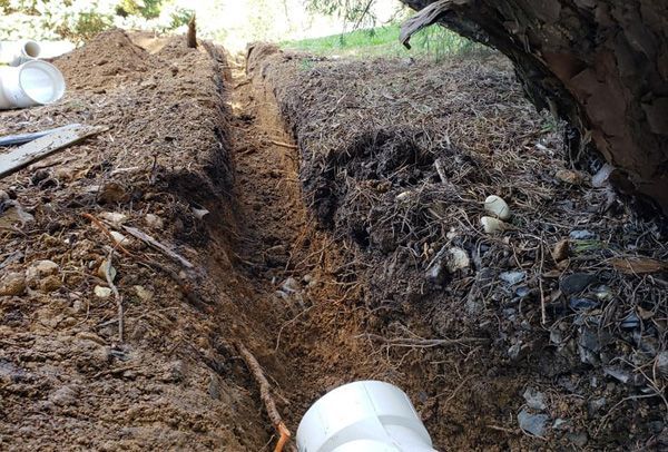 A pipe is laying in the dirt next to a tree.