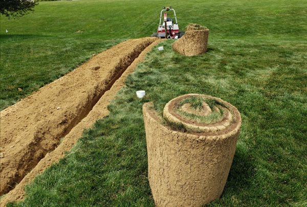 Three rolls of grass are sitting on top of a lush green field.