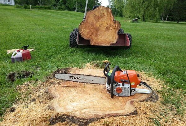 A chainsaw is sitting on top of a tree stump.