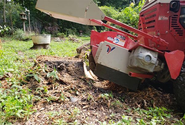 A red and white machine is cutting a tree stump in the grass.