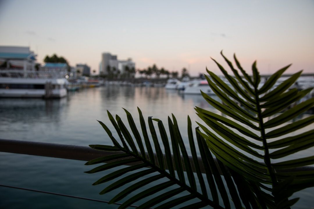 Miami Evening 90 minute Cruise