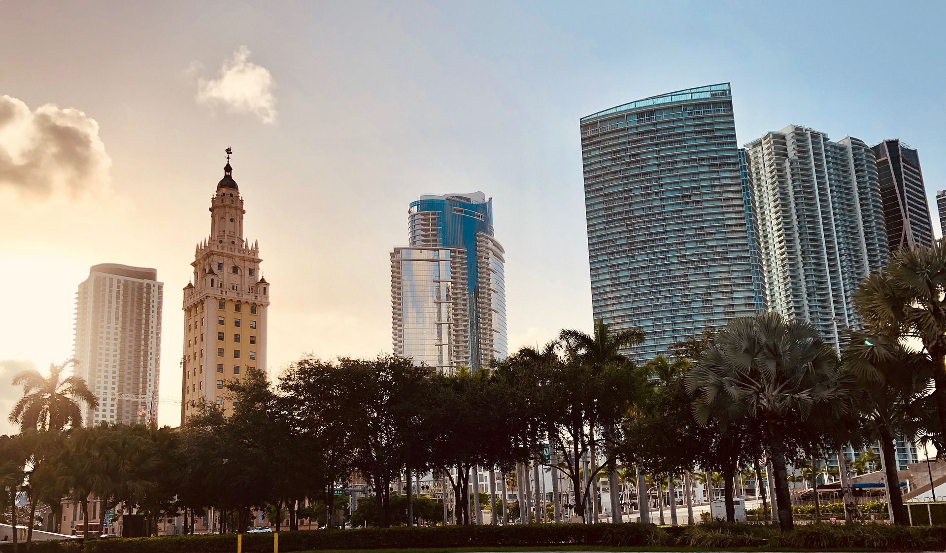 the Miami Skyline from Downtown Miami