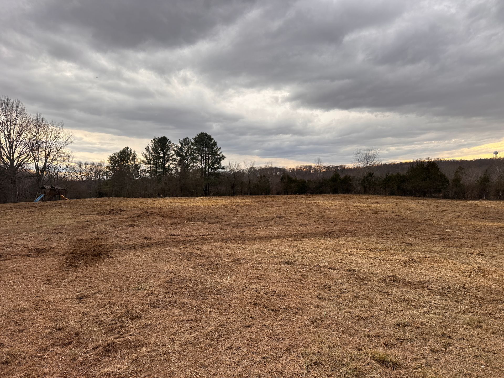 A wide field of dry, brown grass under a cloudy, overcast sky, with a line of trees in the background.