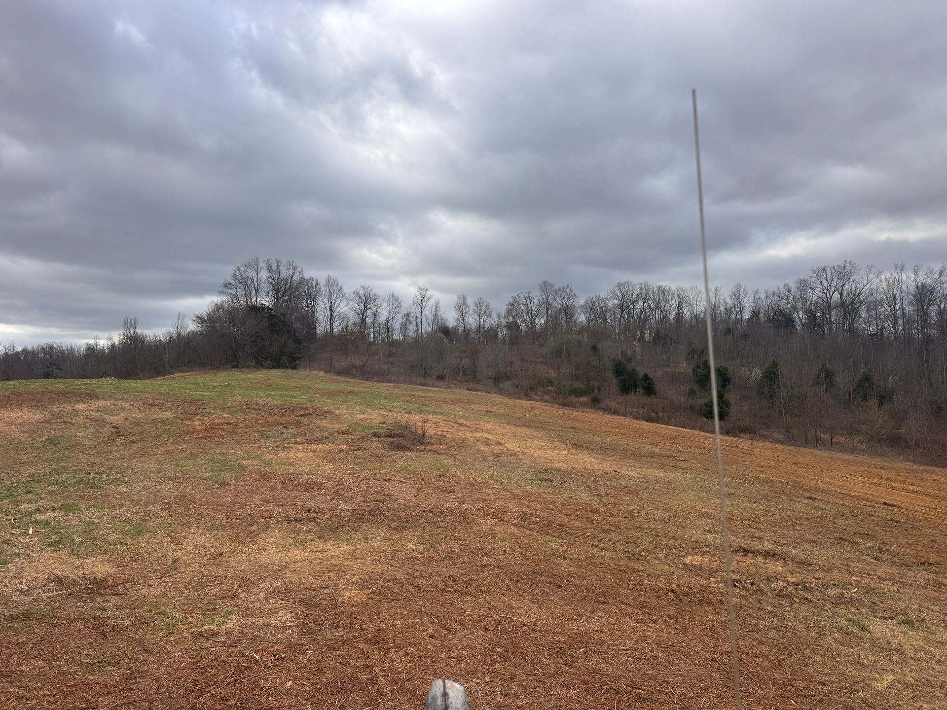 A grassy, reddish-brown field under a cloudy, overcast sky, with a line of bare trees and a single pole in the background.